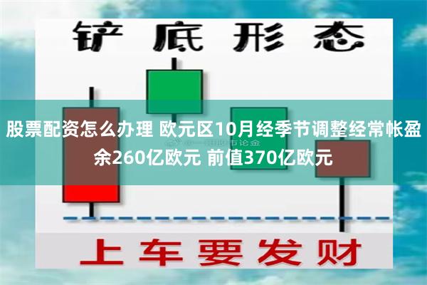 股票配资怎么办理 欧元区10月经季节调整经常帐盈余260亿欧元 前值370亿欧元