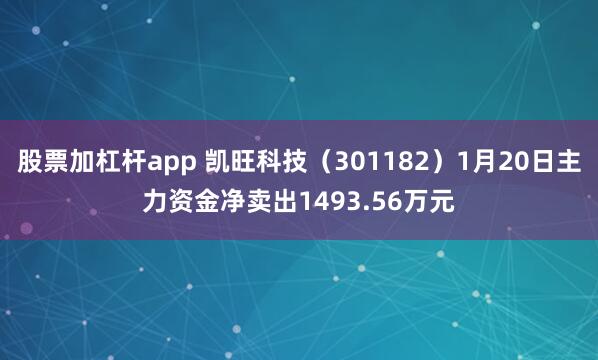 股票加杠杆app 凯旺科技（301182）1月20日主力资金净卖出1493.56万元