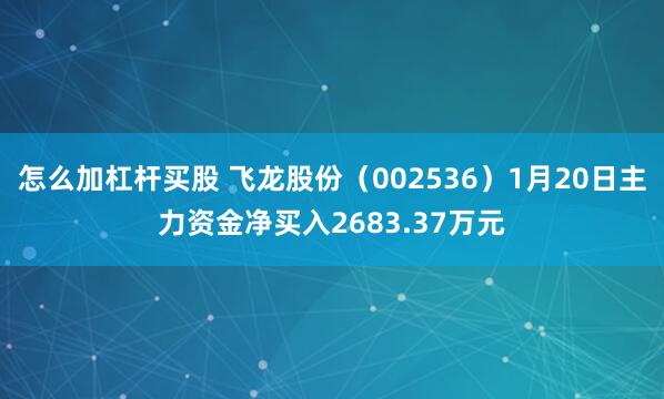 怎么加杠杆买股 飞龙股份（002536）1月20日主力资金净买入2683.37万元