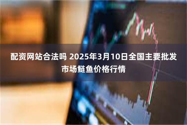 配资网站合法吗 2025年3月10日全国主要批发市场鲢鱼价格行情