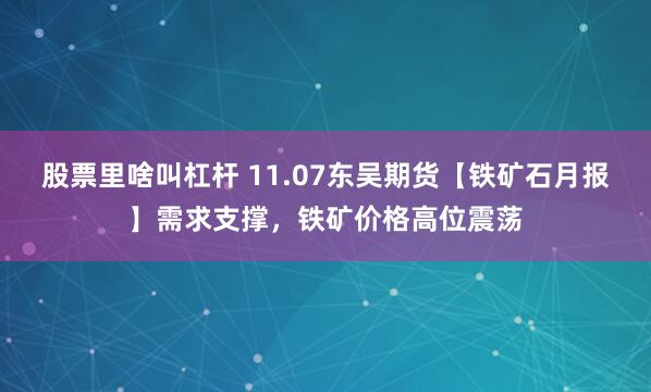 股票里啥叫杠杆 11.07东吴期货【铁矿石月报】需求支撑，铁矿价格高位震荡